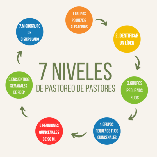 Siete niveles de Pastoreo de Pastores en una Asociación de Pastores